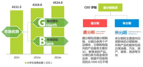 分期電商市場(chǎng)深度調(diào)研 現(xiàn)狀、機(jī)遇與挑戰(zhàn)